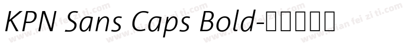KPN Sans Caps Bold字体转换
